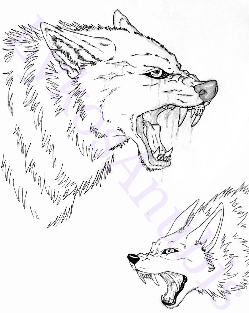 Wolf/Lycan heads by LykosAnubis on DeviantArt