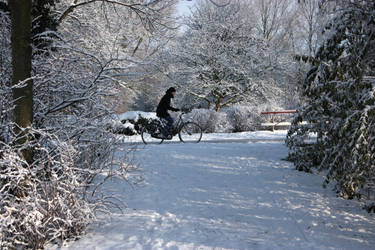 Cycling in the snow