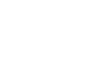 Thusspakethunder-logo White