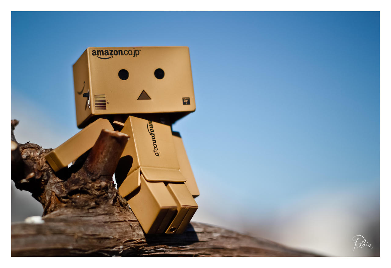 Danbo in the Sky