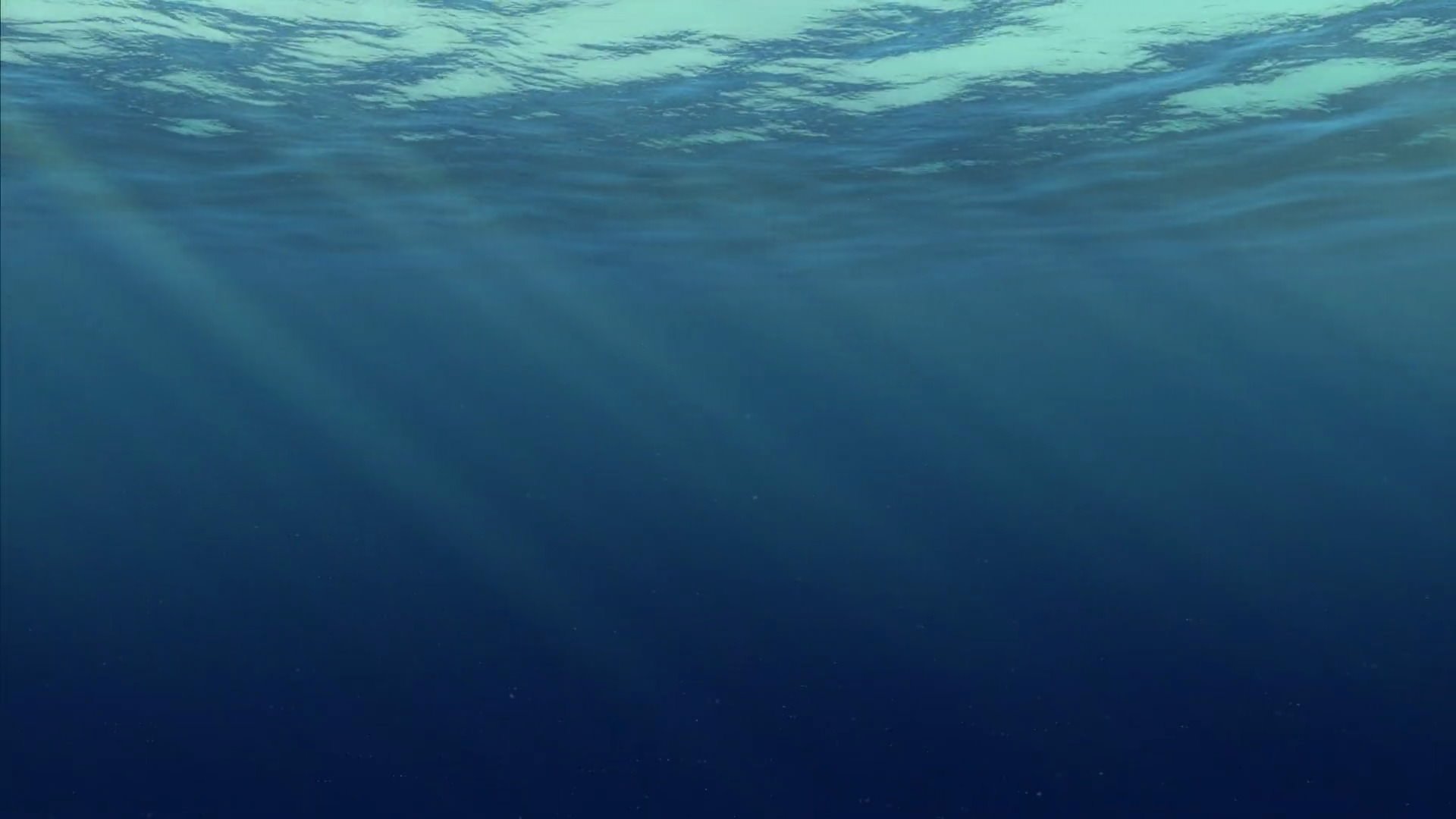 Numoa Background Finding Nemo Ocean background by JosephPatrickBrennan on DeviantArt