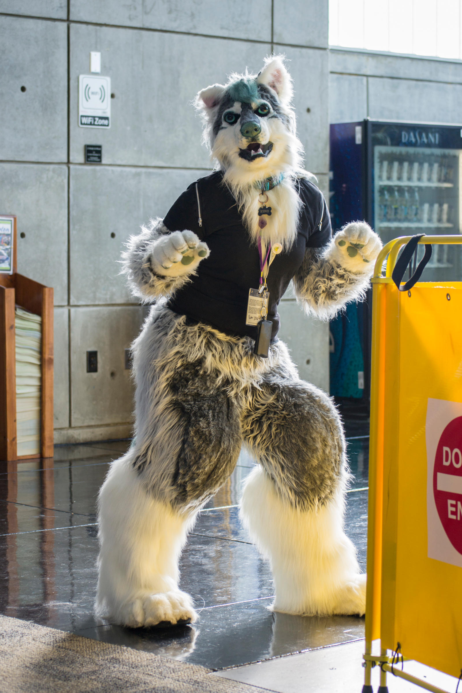 NEKOCON 2014 Furry Wolf Cosplay By Yonaka Photography On DeviantArt nekocon-2014-furry-wolf-cosplay-by-yonaka-photography-on-deviantart