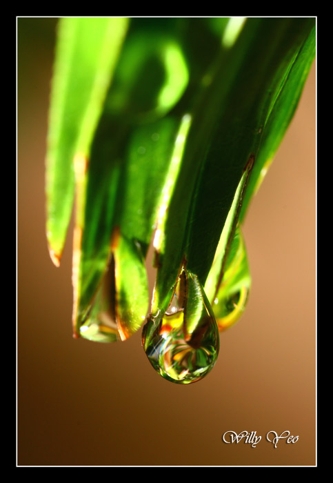 Droplet