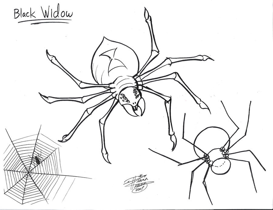 Draw a Spider