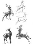Draw a Deer 1