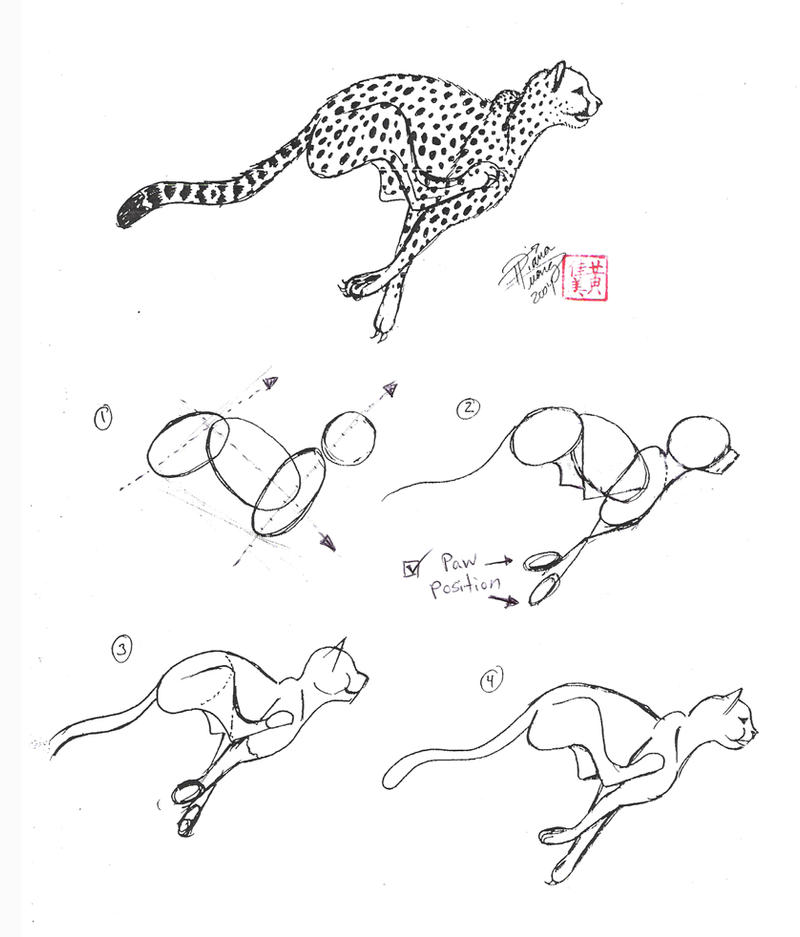 Draw A Cheetah By Diana-Huang On Deviantart