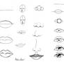 Draw Face Parts