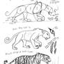 Draw a Tiger