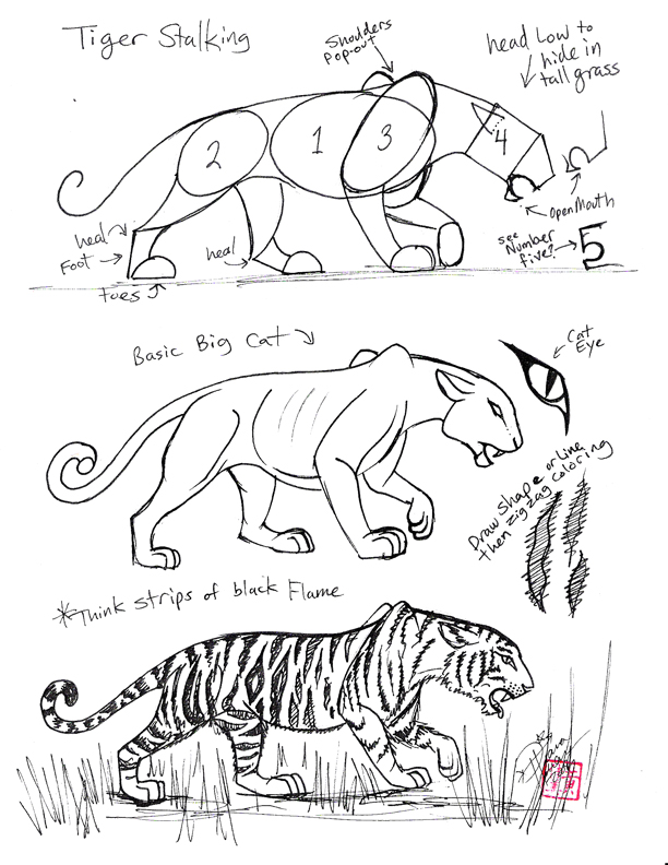 Draw a Tiger by Diana-Huang on DeviantArt