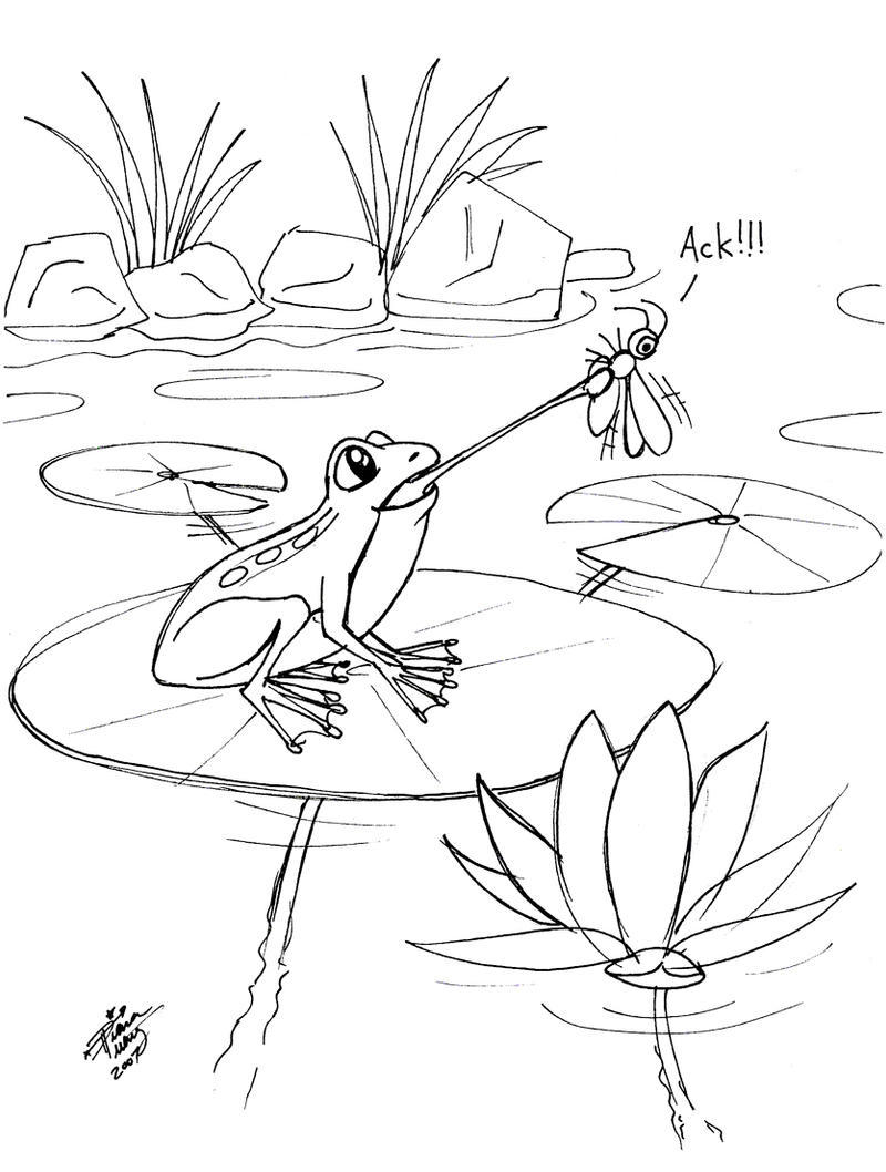 Draw a Frog 3 by Diana-Huang on DeviantArt