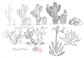 Draw Cactus