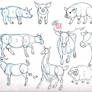 Draw Pig Cow Goat and Sheep