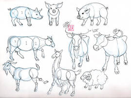 Draw Pig Cow Goat and Sheep