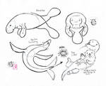 Draw Manatee, Sea Otter etc.