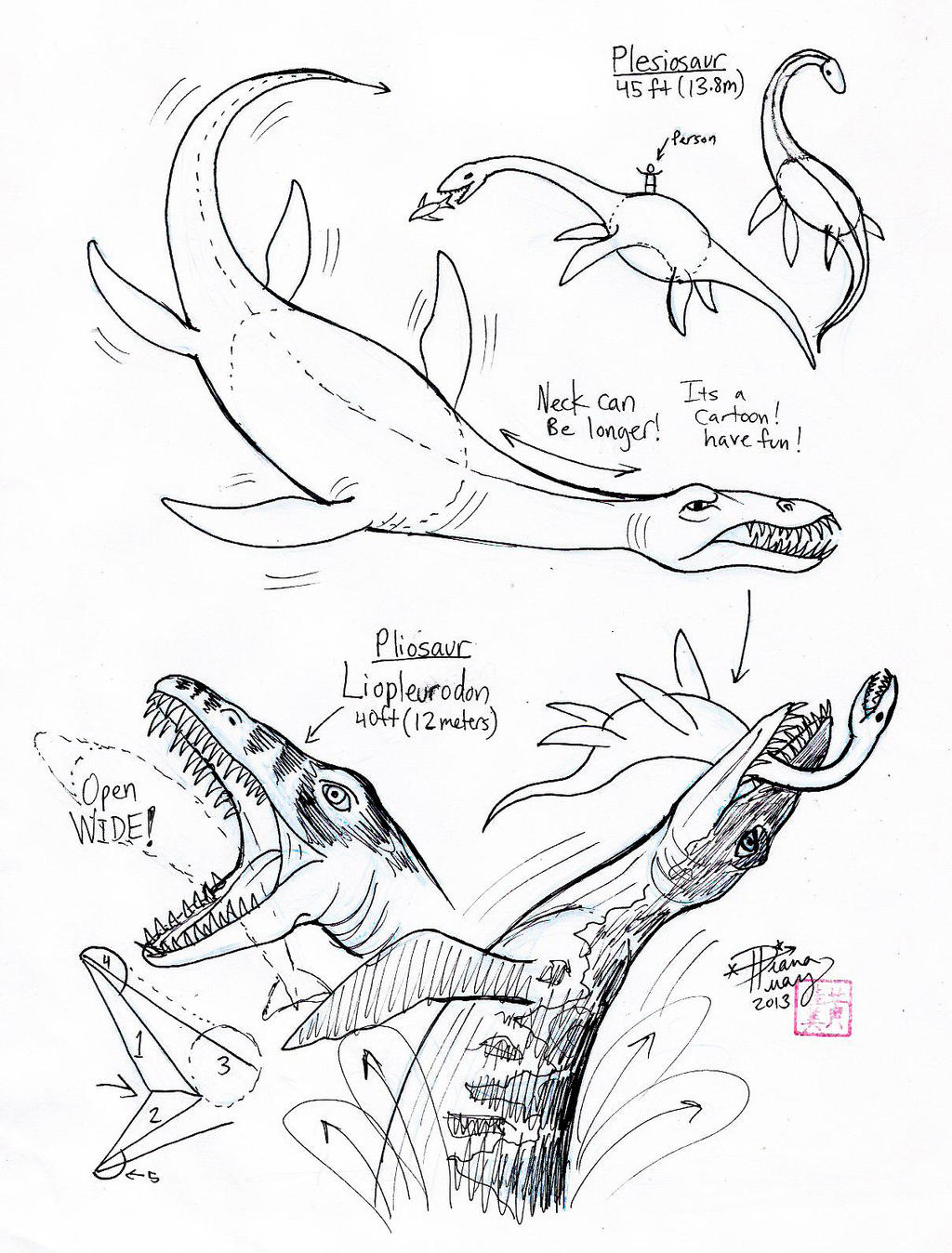 Draw Plesiosaur and Pliosaur