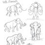 Draw a Woolly Mammoth