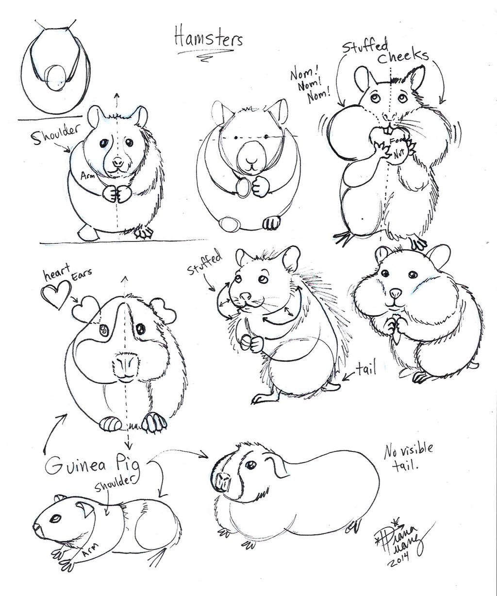 Draw Hamster and Guinea Pig