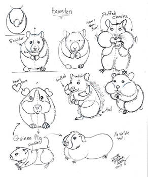 Draw Hamster and Guinea Pig
