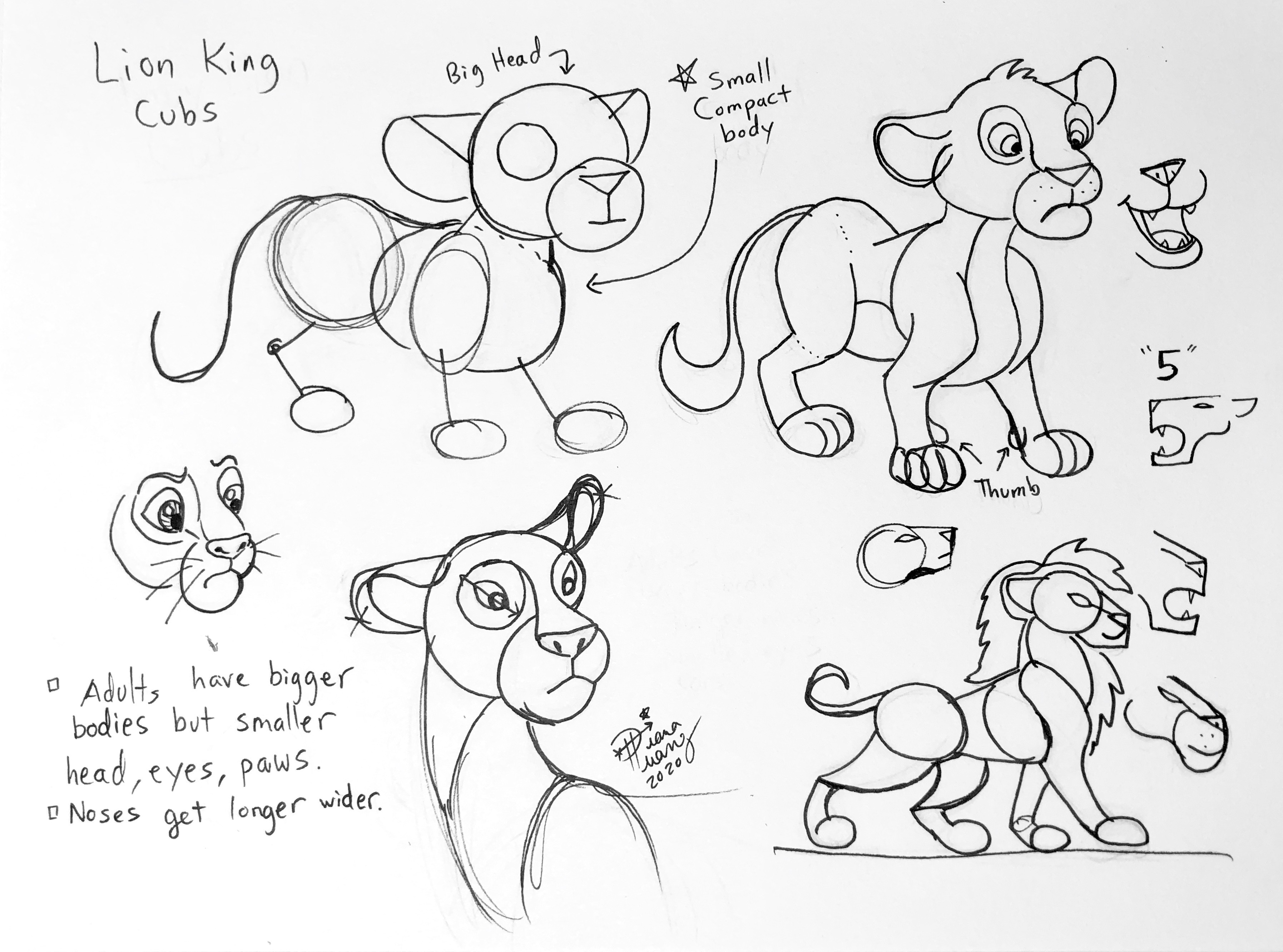Draw King Cubs by on