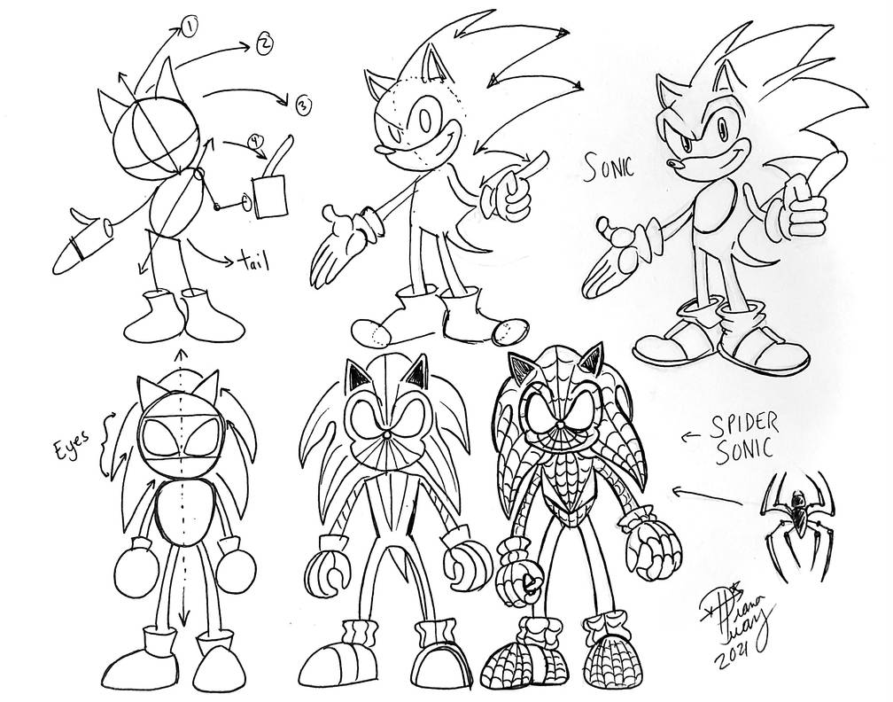 Draw Sonic And Spider Sonic By Diana Huang On DeviantArt draw-sonic-and-spider-sonic-by-diana-huang-on-deviantart
