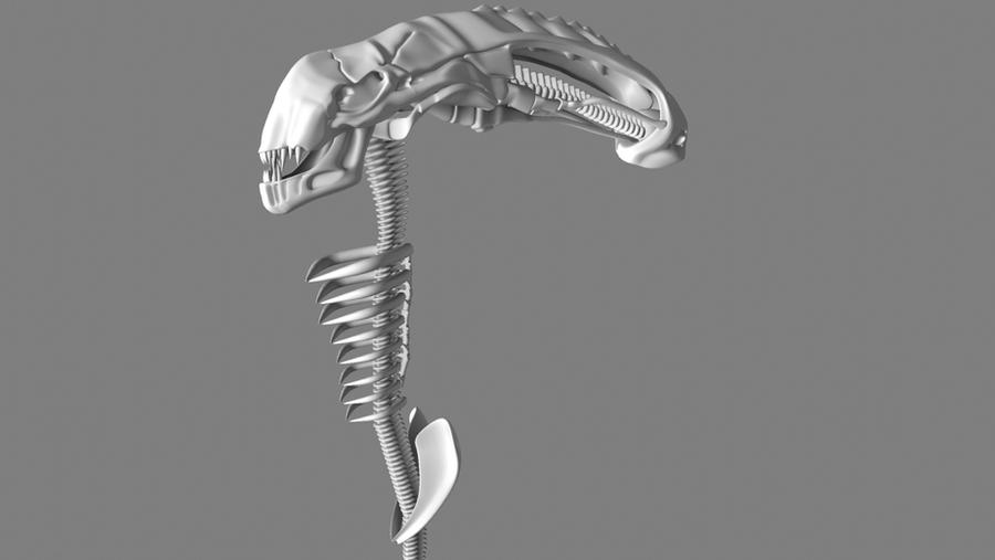 alien skull by sharonmudz on DeviantArt