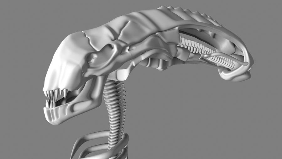 alien skull 2 by sharonmudz on DeviantArt