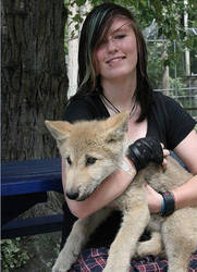 Kira and the wolf puppy.