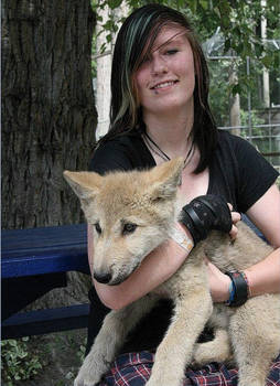 Kira and the wolf puppy.