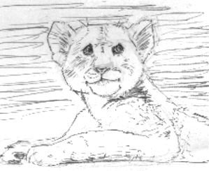 Cub