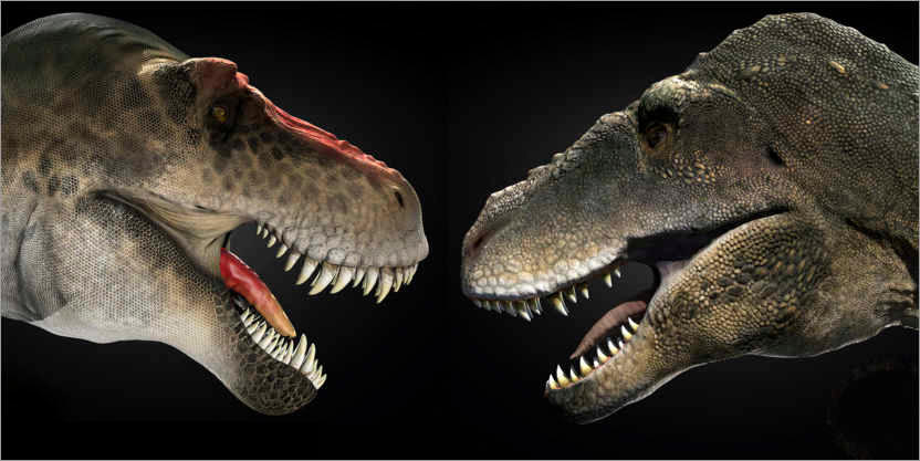 Tarbosaurus vs T-Rex by simonmoberg on DeviantArt