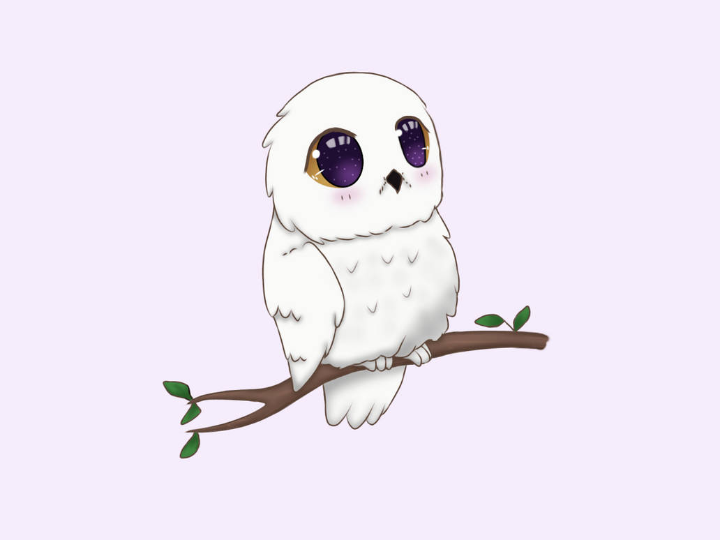 Top 99 hình ảnh cute chibi owl đẹp nhất - tải miễn phí