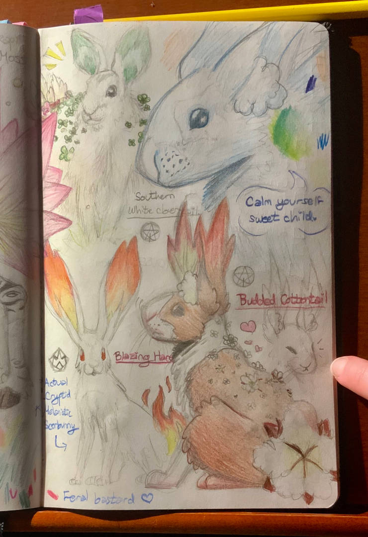 Wabbit Season?? by Violetdash52418 on DeviantArt