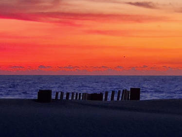 Beach Sunset