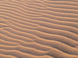 Sand Waves