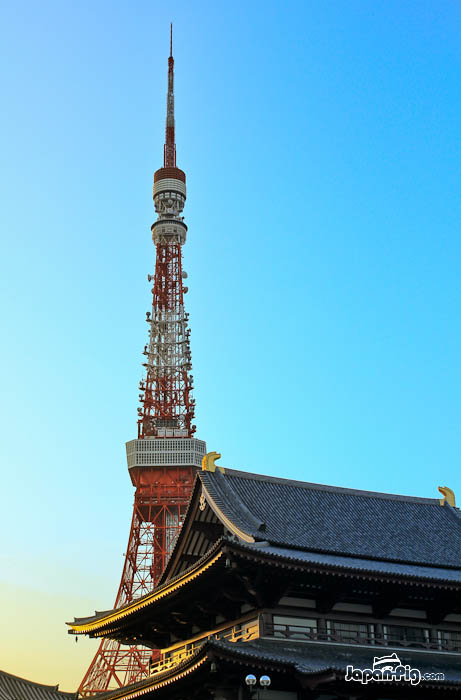 Tokyo Tower  + Temple