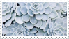 [stamp] succulents by environmentalism