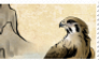 [stamp] hawk