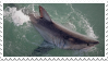 [stamp] shark