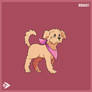 Doggust - Koki