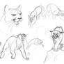 Cougar Concepts_3