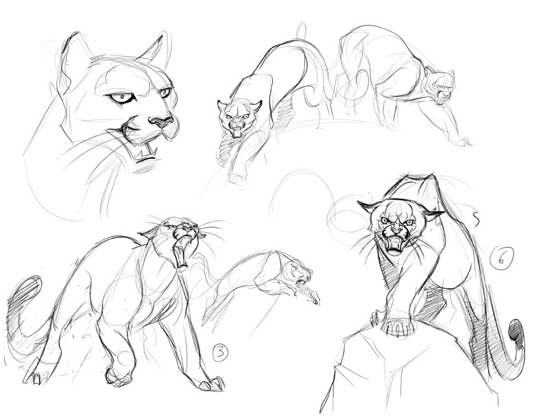 Cougar Concepts_3