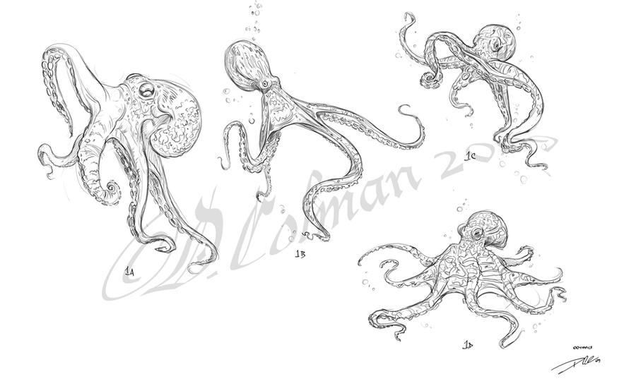 Octopus Designs