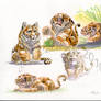 TigerCubs