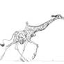 Giraffe Sketch