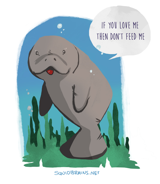 Don't feed manatees