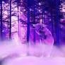 Purple Wolf