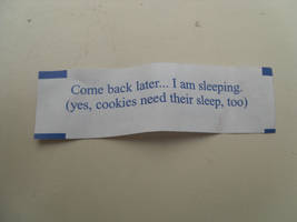 Funniest Fortune Ever