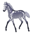 8393 Padro Foal Design by equ1ne