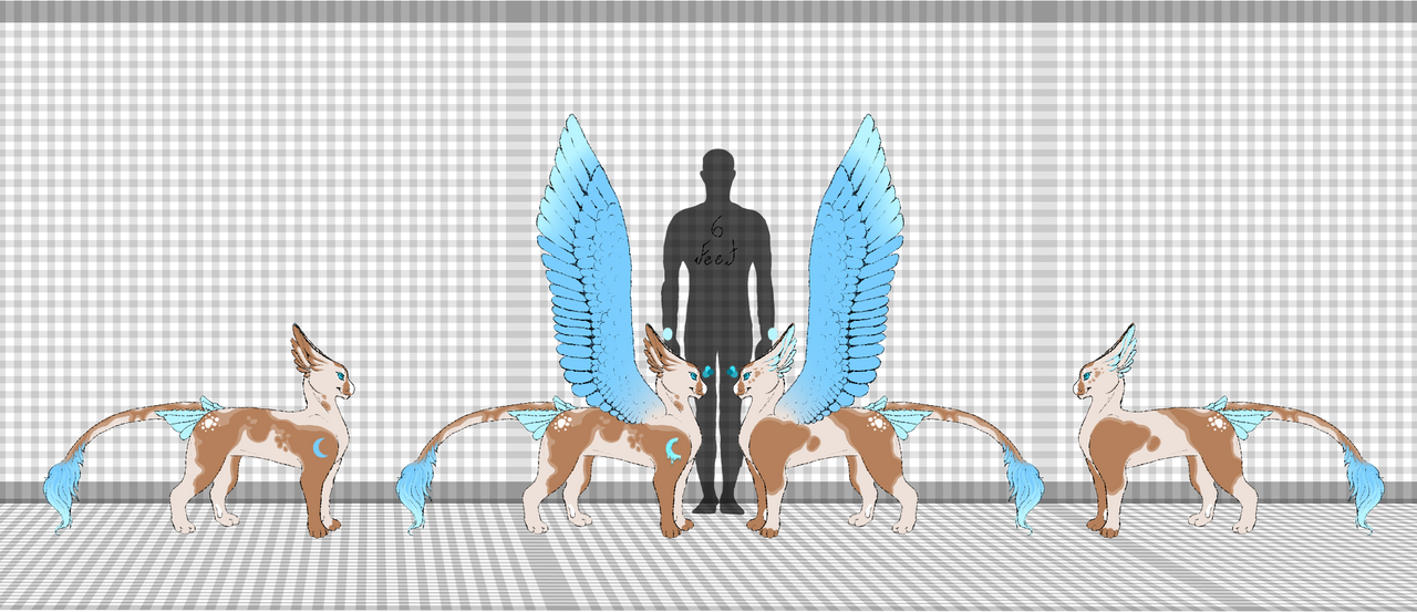 Raspberry Ref by Shiny-Dots on DeviantArt