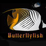 Butterflyfish